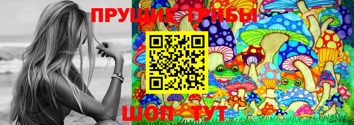 купить наркоту  Вход с VPN  Галлюциногенные грибы Psilocybine cubensis  Лениногорск  Псилоцибиновые грибы MAGIC MUSHROOMS 